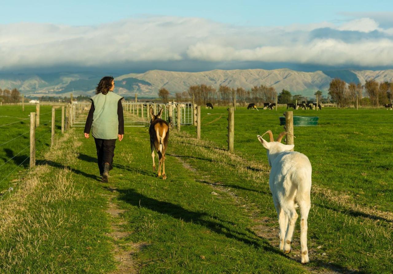 פלמרסטון נורת' Penhaven Farm Stay מראה חיצוני תמונה